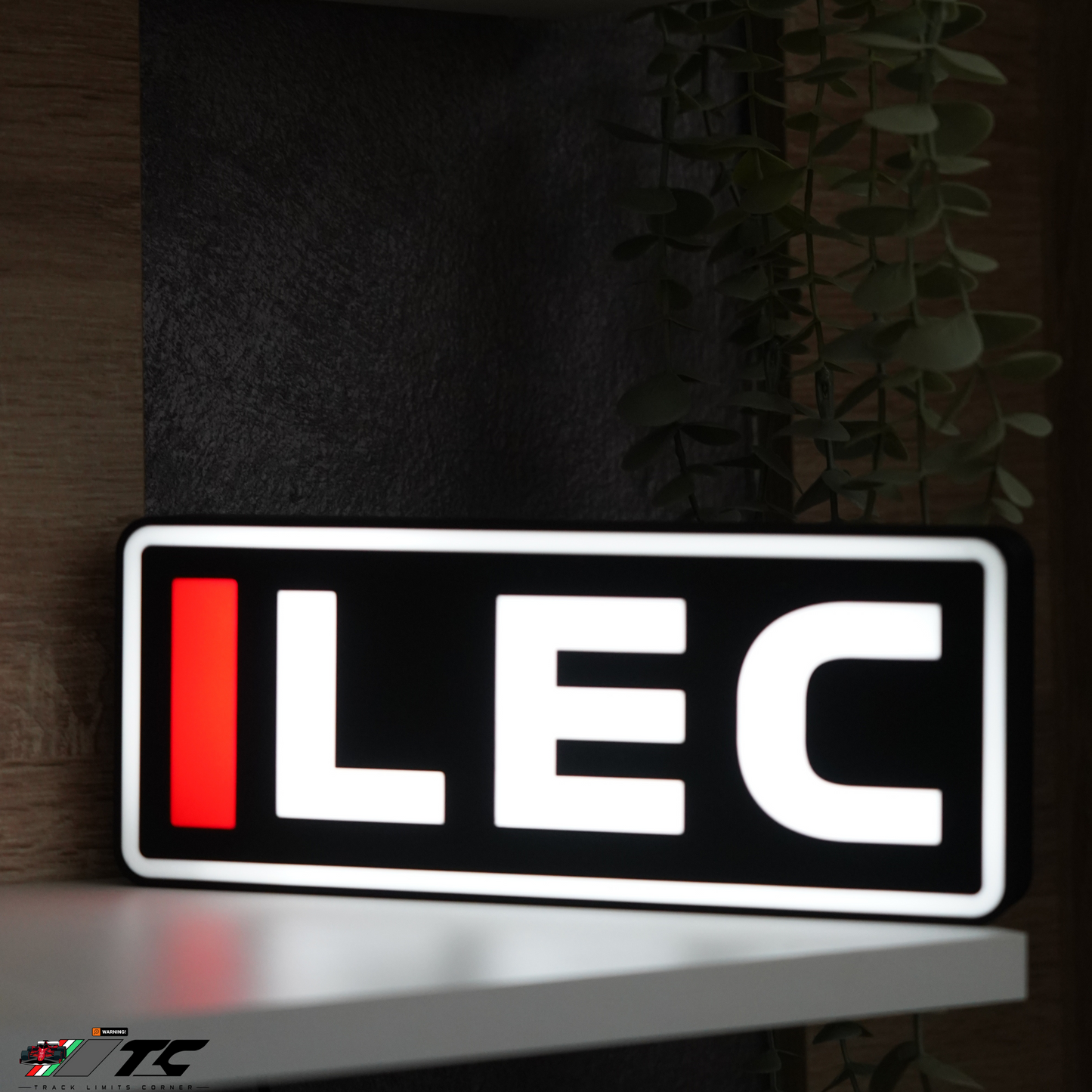 Formula 1 Charles Leclerc LED Lighting Lamp, F1 Racing